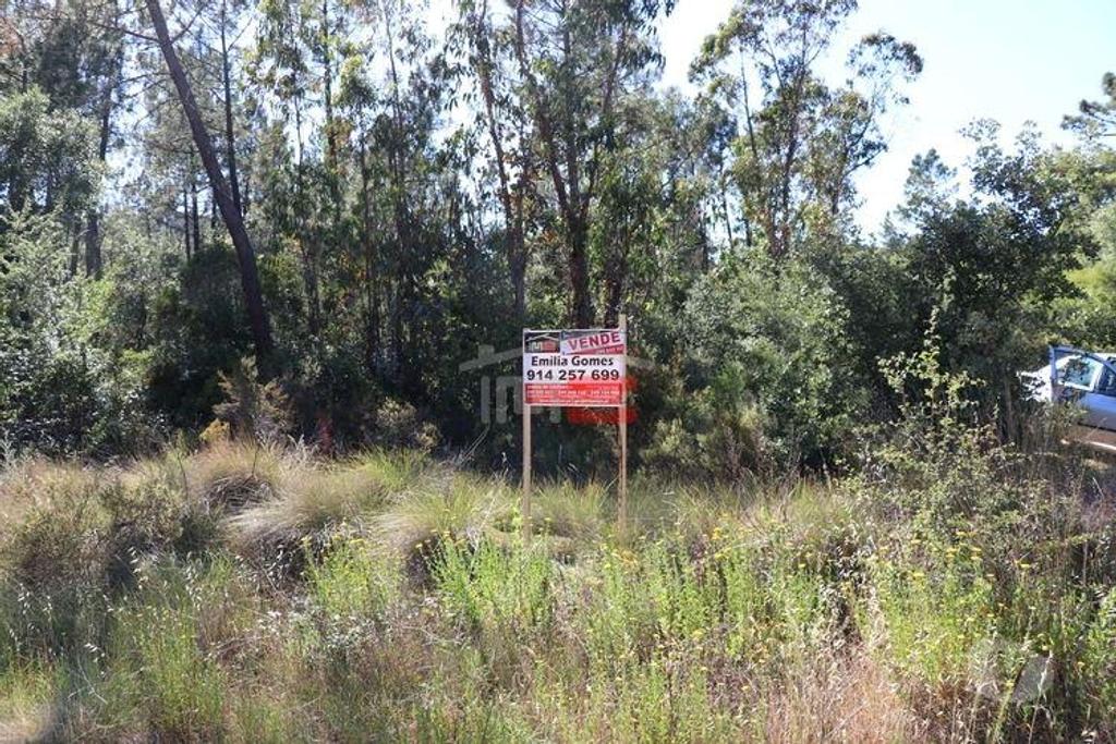 Terrenos Tomar - Fotos para Tomar-Terreno (1-T-110019034)