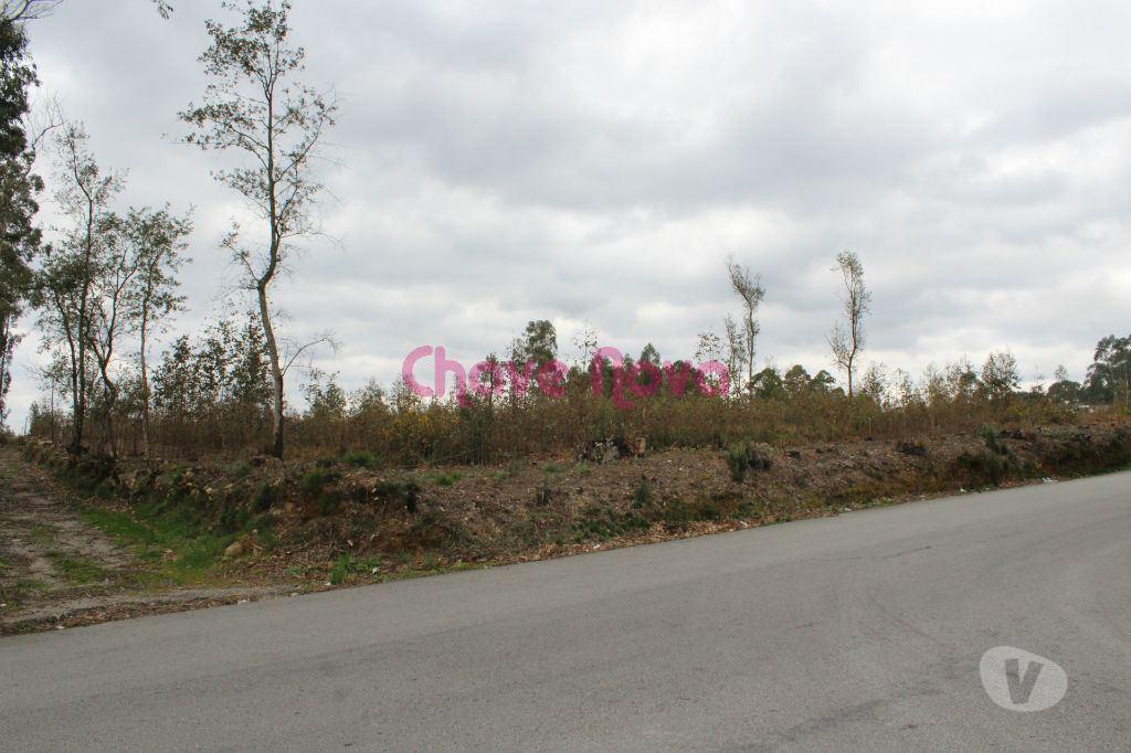 Terrenos Santa Maria da Feira - Fotos para Santa-maria-da-feira-Terreno para construção (MAD 00456)