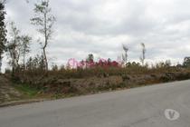Santa-maria-da-feira-Terreno para construção (MAD 00456)