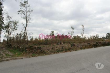 Terrenos - Fotos para Santa-maria-da-feira-Terreno para construção (MAD 00456)