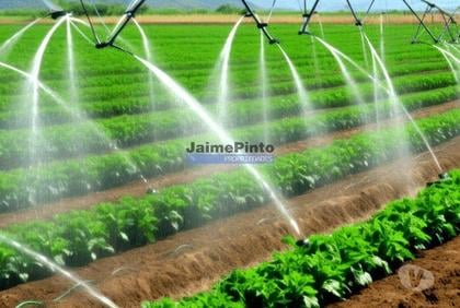 Terrenos a venda - Fotos para Terreno agrícola 120.000m2 para plantações hortícolas e