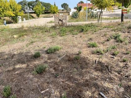 Venda Loja - Fotos para Terreno Urbano - 980 m² em Mouriscas, Abrantes: Ideal para...