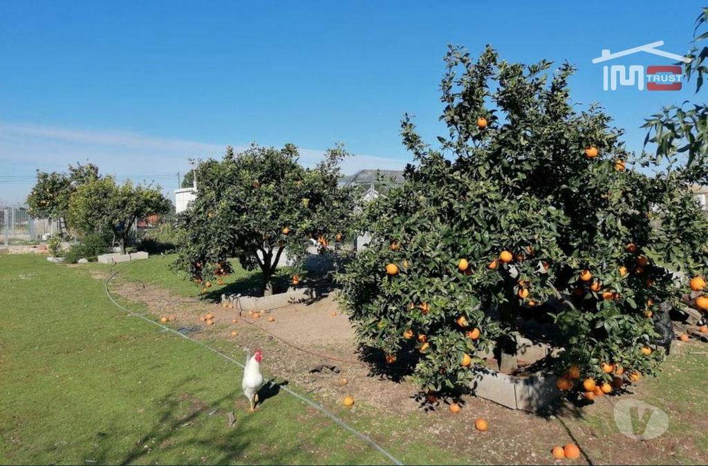 Apartamentos a venda Benavente - Fotos para Moradia V4 em Benavente: Inserida em Terreno de 5000m²