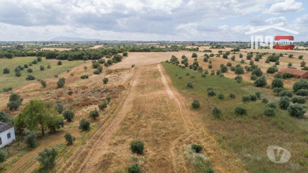 Terrenos Santarém - Fotos para Santarem-Terreno Rústico - Almoster - Oportunidade (5-T-000015)