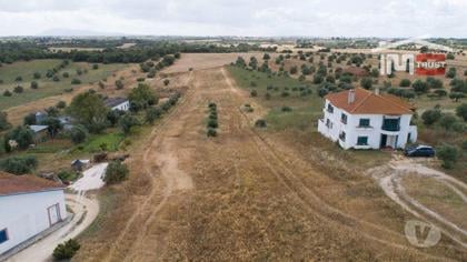 Terrenos a venda - Fotos para Santarem-Terreno Rústico - Almoster - Oportunidade (5-T-000015)