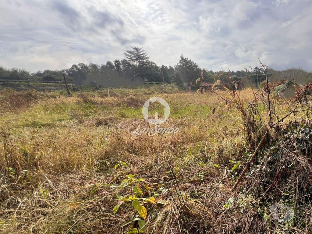 Terrenos Barcelos - Fotos para Barcelos-Terreno para construção em Barcelos (265-T-01628)