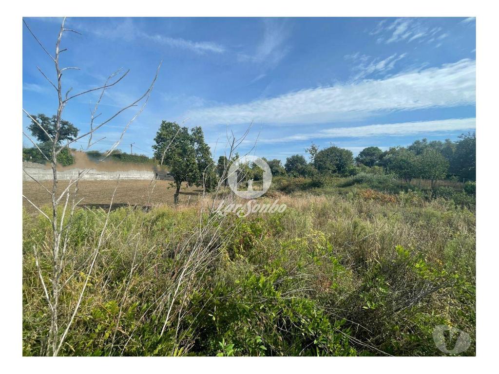 Terrenos Barcelos - Fotos para Barcelos-Terreno para construção em Barcelos (265-T-01619)