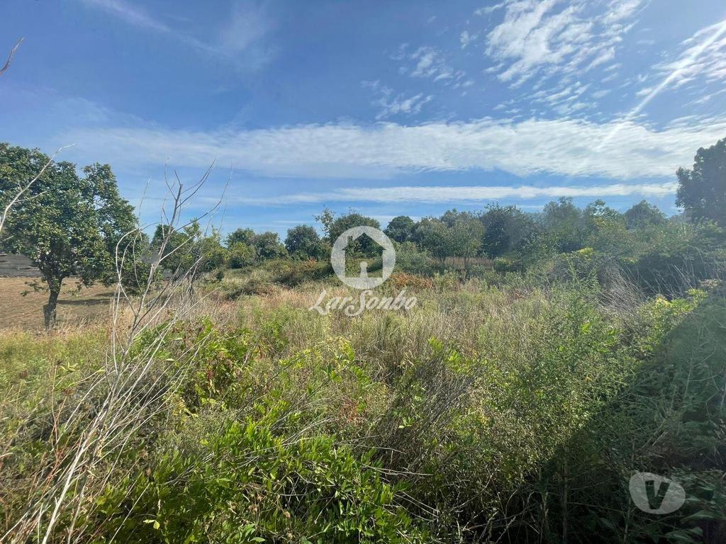 Terrenos Barcelos - Fotos para Barcelos-Terreno para construção em Barcelos (265-T-01619)