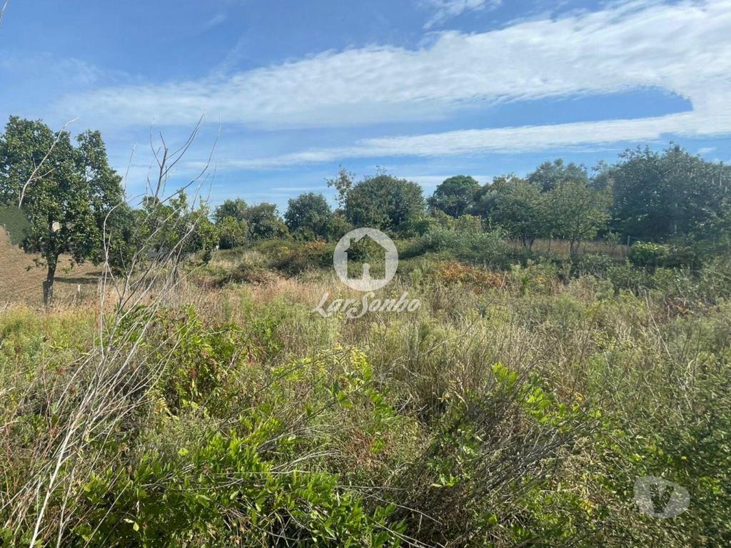 Terrenos Barcelos - Fotos para Barcelos-Terreno para construção em Barcelos (265-T-01619)