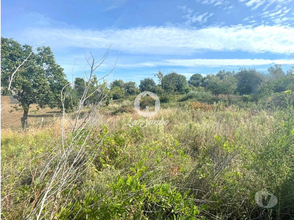 Terrenos Barcelos - Fotos para Barcelos-Terreno para construção em Barcelos (265-T-01619)