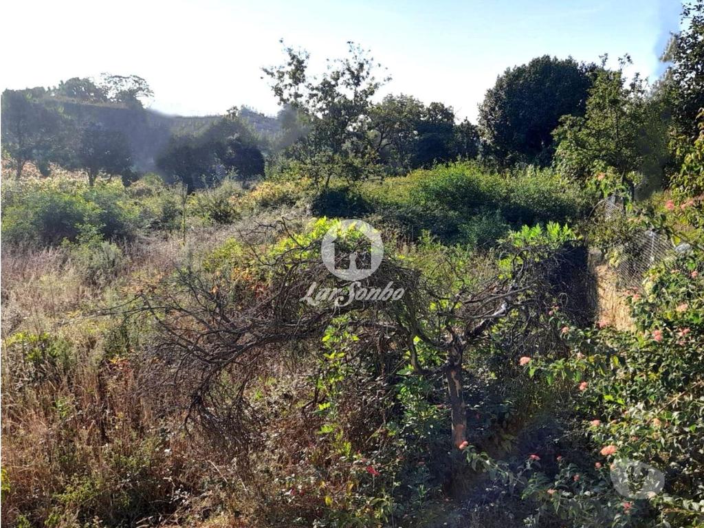 Terrenos Barcelos - Fotos para Barcelos-Terreno para construção em Barcelos (265-T-01619)