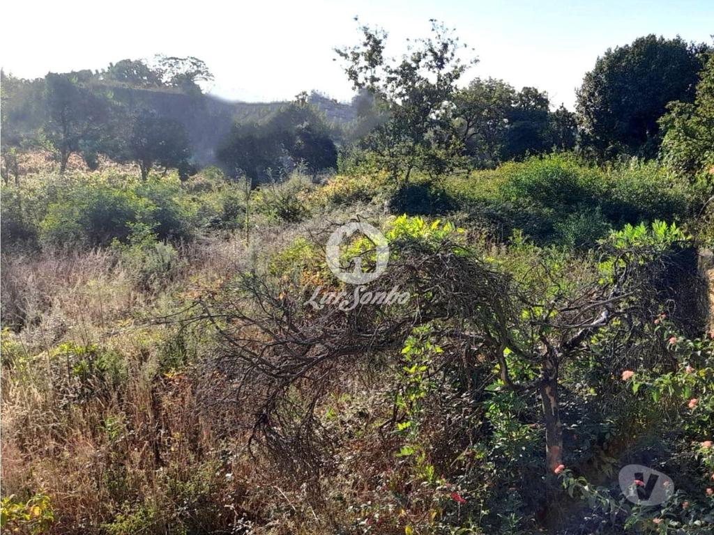 Terrenos Barcelos - Fotos para Barcelos-Terreno para construção em Barcelos (265-T-01619)