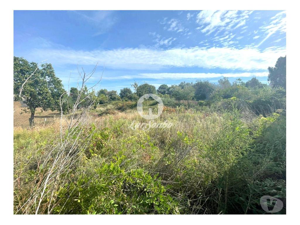 Terrenos Barcelos - Fotos para Barcelos-Terreno para construção em Barcelos (265-T-01619)