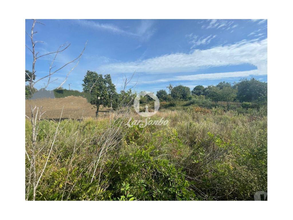Terrenos Barcelos - Fotos para Barcelos-Terreno para construção em Barcelos (265-T-01619)