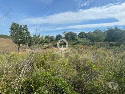 Terrenos - Fotos para Barcelos-Terreno para construção em Barcelos (265-T-01619)