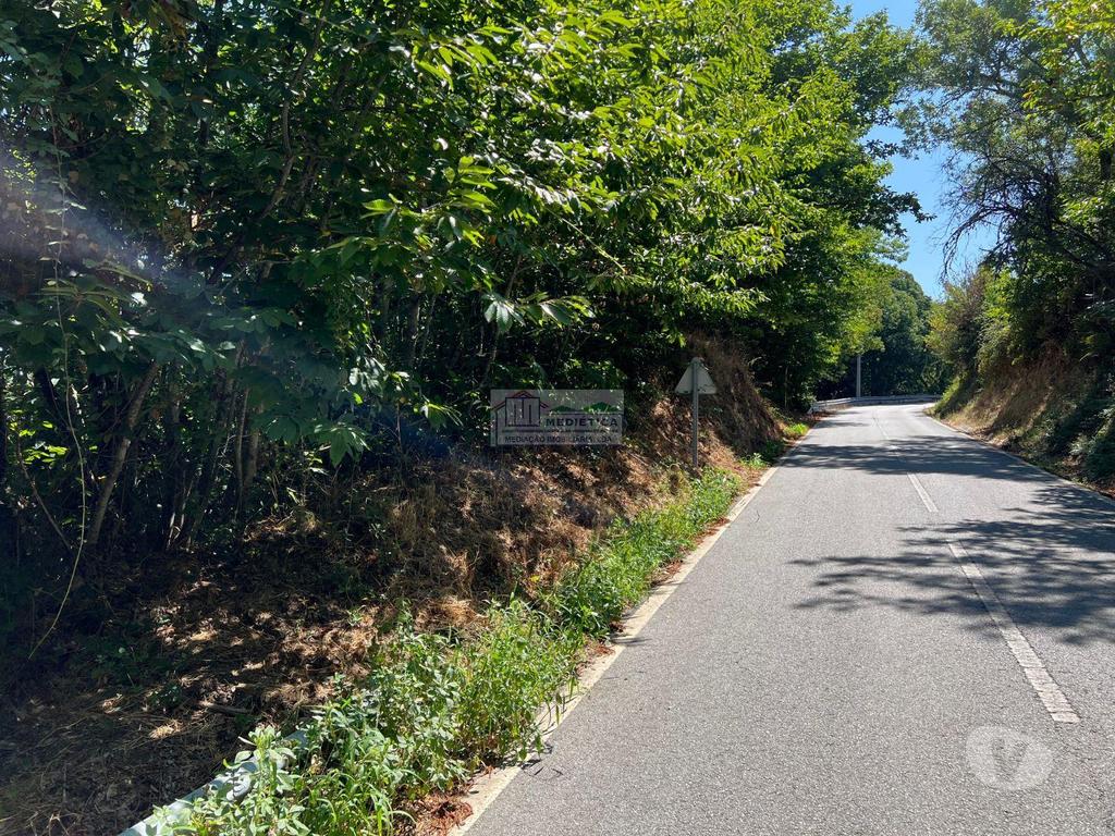 Terrenos Alfândega da Fé - Fotos para Quintinha, para venda, Alfandega da Fé - Sambade (Q 00432)