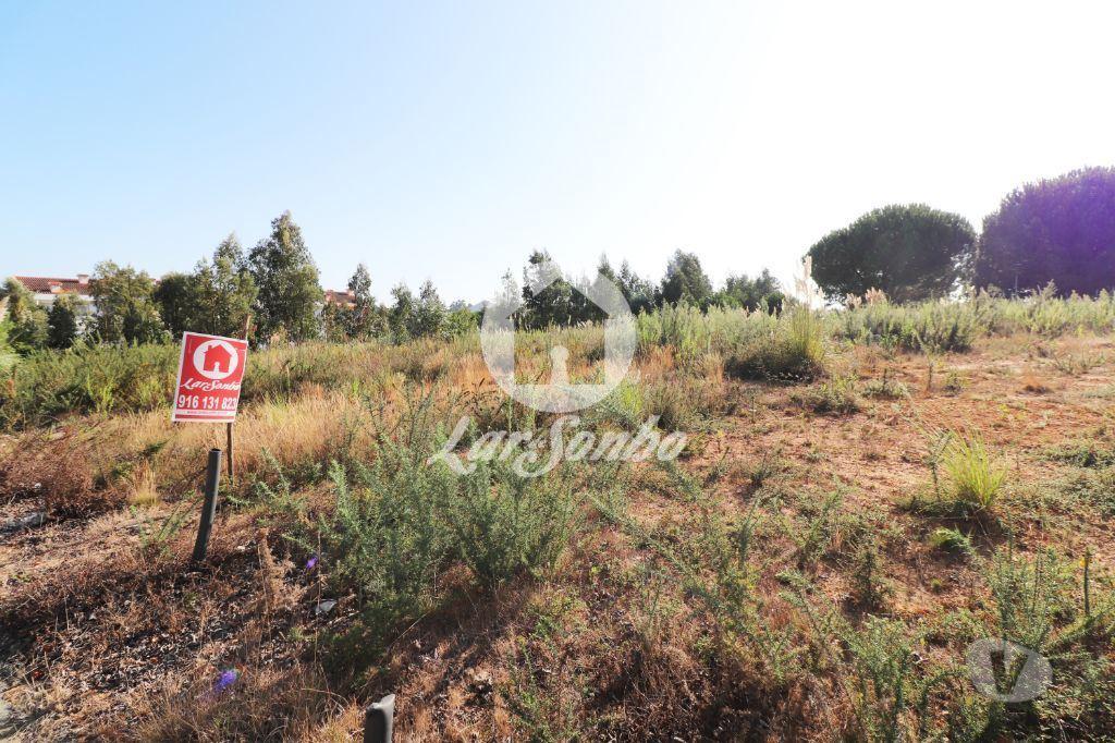 Terrenos Espinho - Fotos para Investidores Construtores Oportunidade Compra Conjunta de 6