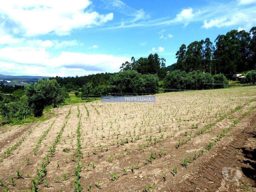 Terrenos Paredes de Coura - Fotos para Terreno rústico de 4.900m2 e ruína, Rubiães, em Paredes de