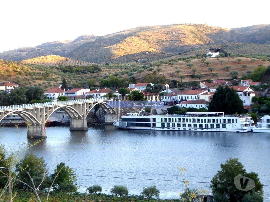 Terrenos Figueira de Castelo Rodrigo - Fotos para Propriedade com 5.100 oliveiras, 52ha, Barca DAlva. Portugal,