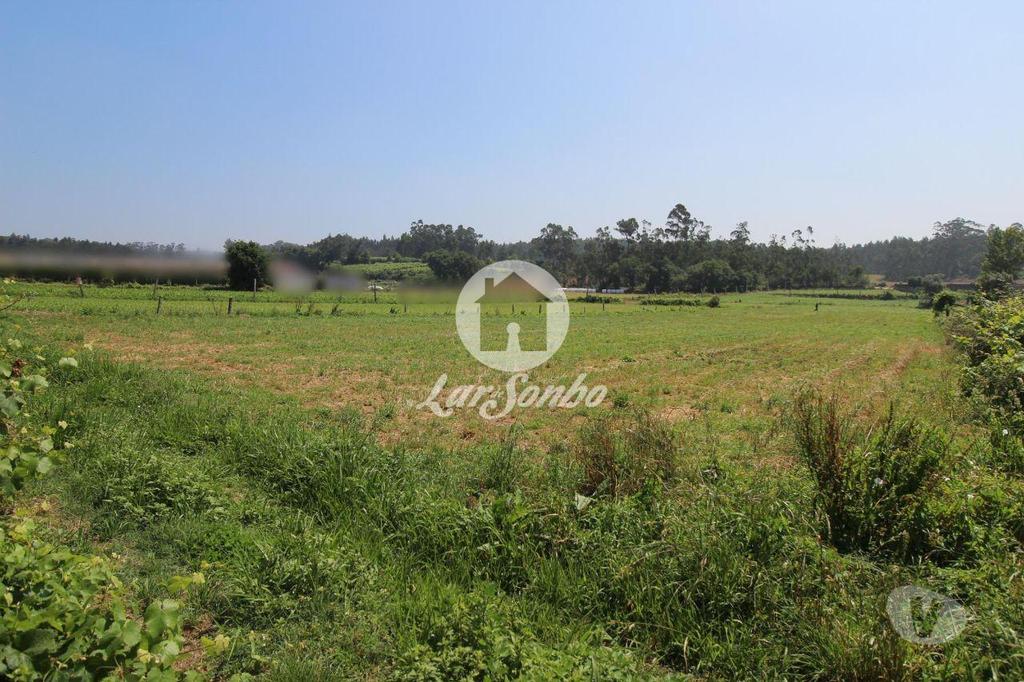 Terrenos Vila Nova de Famalicão - Fotos para Terreno agrícola com 5000 m2, em Fradelos Vila Nova de Famalicão