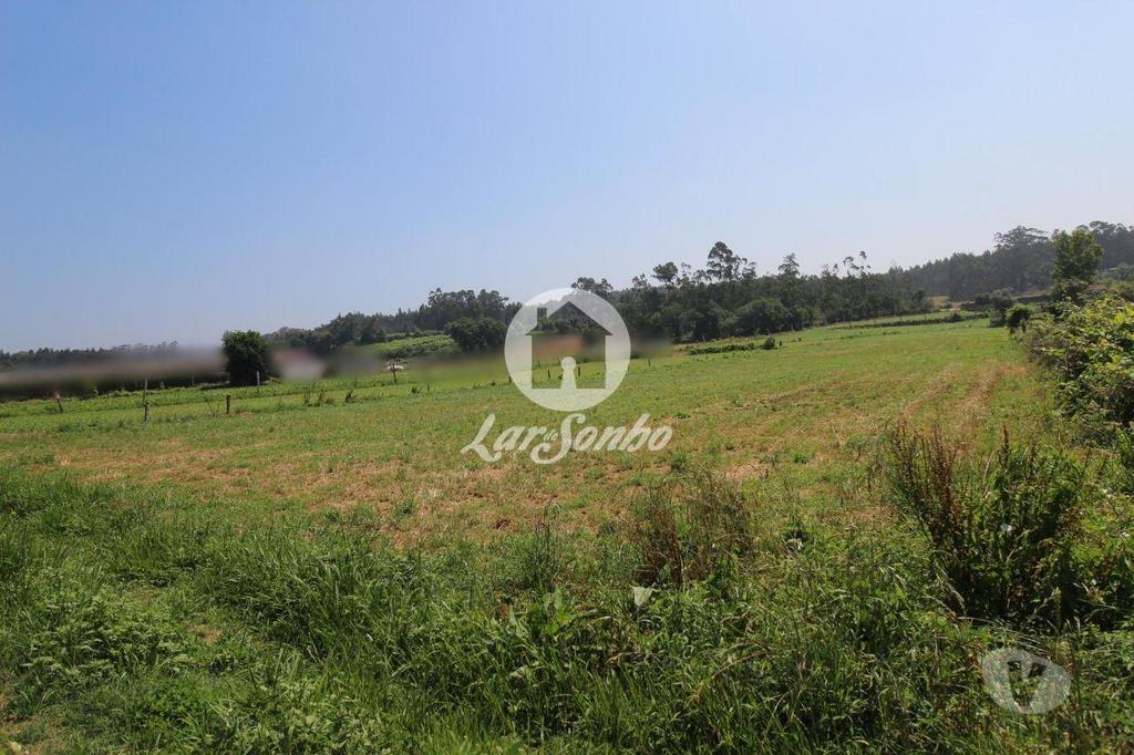 Terrenos Vila Nova de Famalicão - Fotos para Terreno agrícola com 5000 m2, em Fradelos Vila Nova de Famalicão
