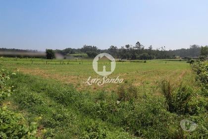 Terrenos e quintas a venda - Fotos para Terreno agrícola com 5000 m2, em Fradelos Vila Nova de Famalicão