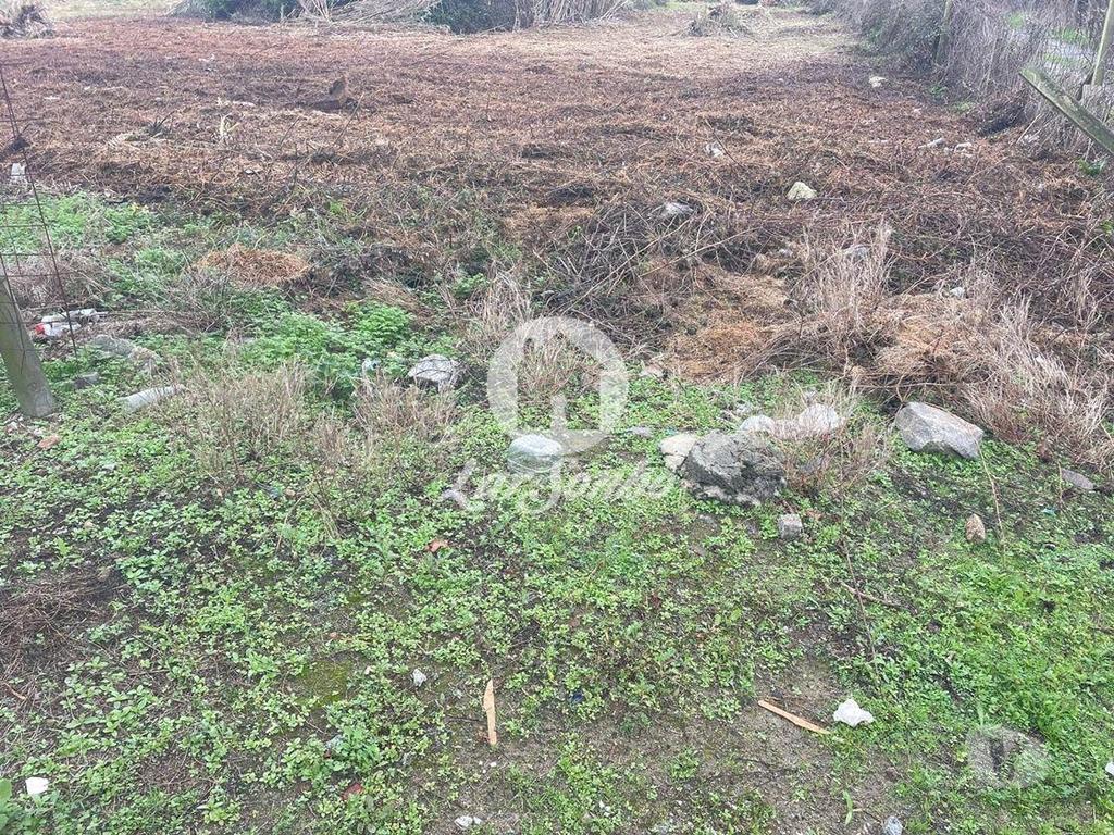 Terrenos Vila do Conde - Fotos para Terreno para construção em Altura com 13.900m2 m Vila do Conde