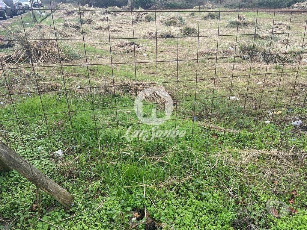 Terrenos Vila do Conde - Fotos para Terreno para construção em Altura com 13.900m2 m Vila do Conde