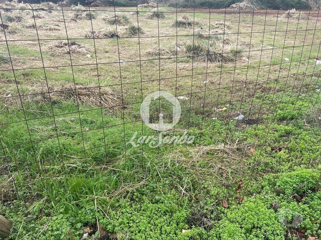 Terrenos Vila do Conde - Fotos para Terreno para construção em Altura com 13.900m2 m Vila do Conde