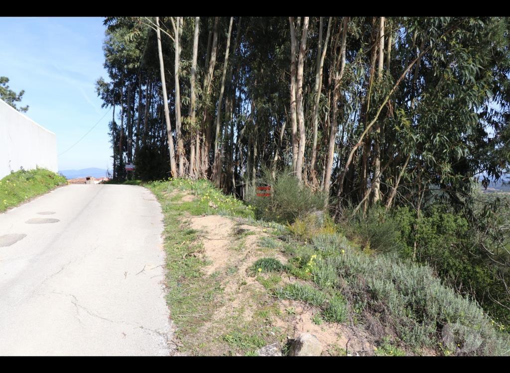 Terrenos Ourém - Fotos para Ourem-Terreno com possibilidade de construção (1-T-110019007)