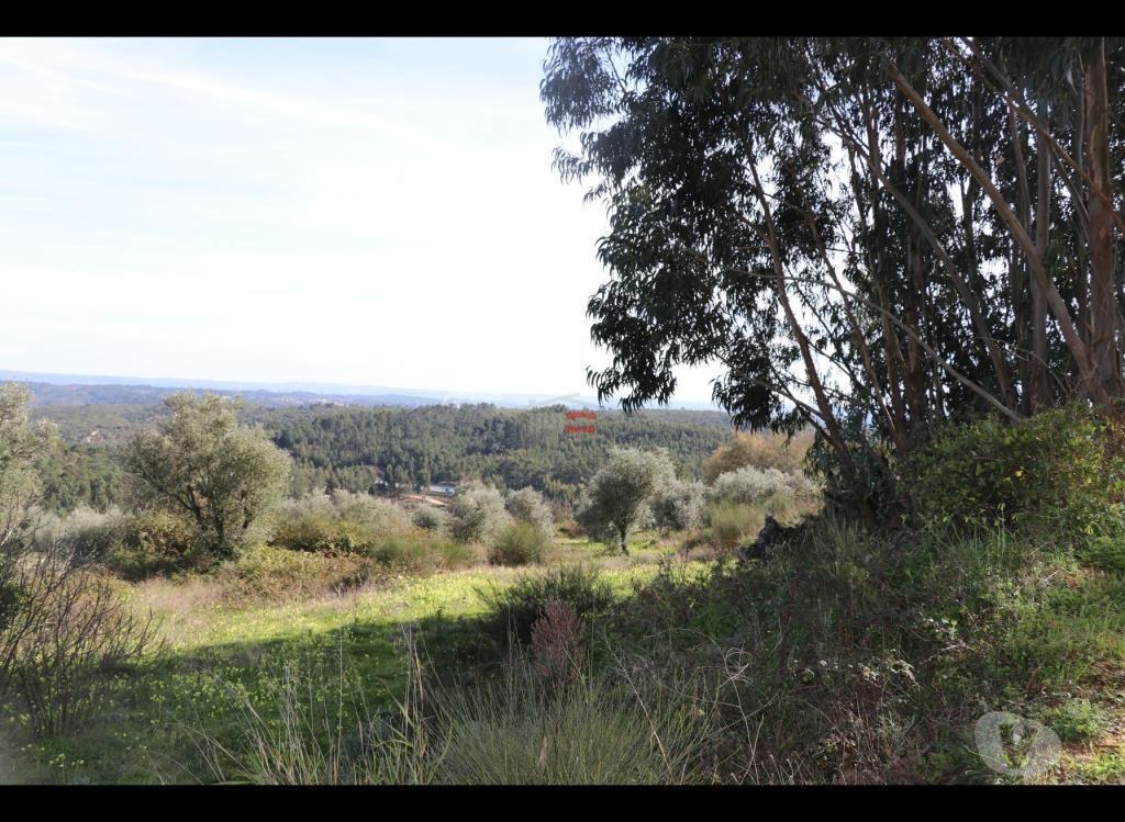 Terrenos Ourém - Fotos para Ourem-Terreno com possibilidade de construção (1-T-110019007)
