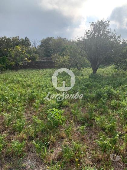 Terrenos - Fotos para Terreno para construção com 1053m2 em Beiriz, Póvoa de Varzim