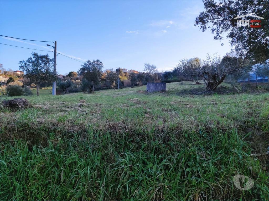 Terrenos Ourém - Fotos para Terreno rústico com olival, poço e possibilidade de instalar
