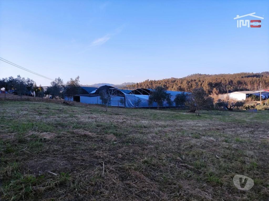 Terrenos Ourém - Fotos para Terreno rústico com olival, poço e possibilidade de instalar