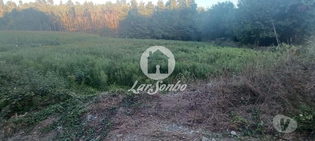 Terrenos Vila Nova de Famalicão - Fotos para Terreno agrícola com 2.100 m2 em Ribeirão (240-T-23831)