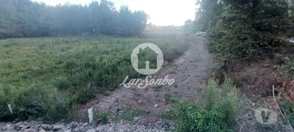 Terrenos Vila Nova de Famalicão - Fotos para Terreno agrícola com 2.100 m2 em Ribeirão (240-T-23831)