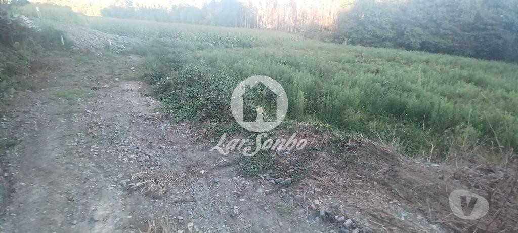 Terrenos Vila Nova de Famalicão - Fotos para Terreno agrícola com 2.100 m2 em Ribeirão (240-T-23831)