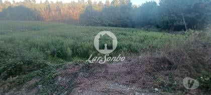 Terrenos - Fotos para Terreno agrícola com 2.100 m2 em Ribeirão (240-T-23831)