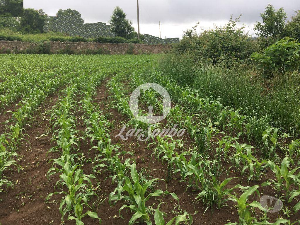 Apartamentos a venda Vila do Conde - Fotos para Moradia para restauro com terreno de 3.300 m2 em Vairão, Vila do