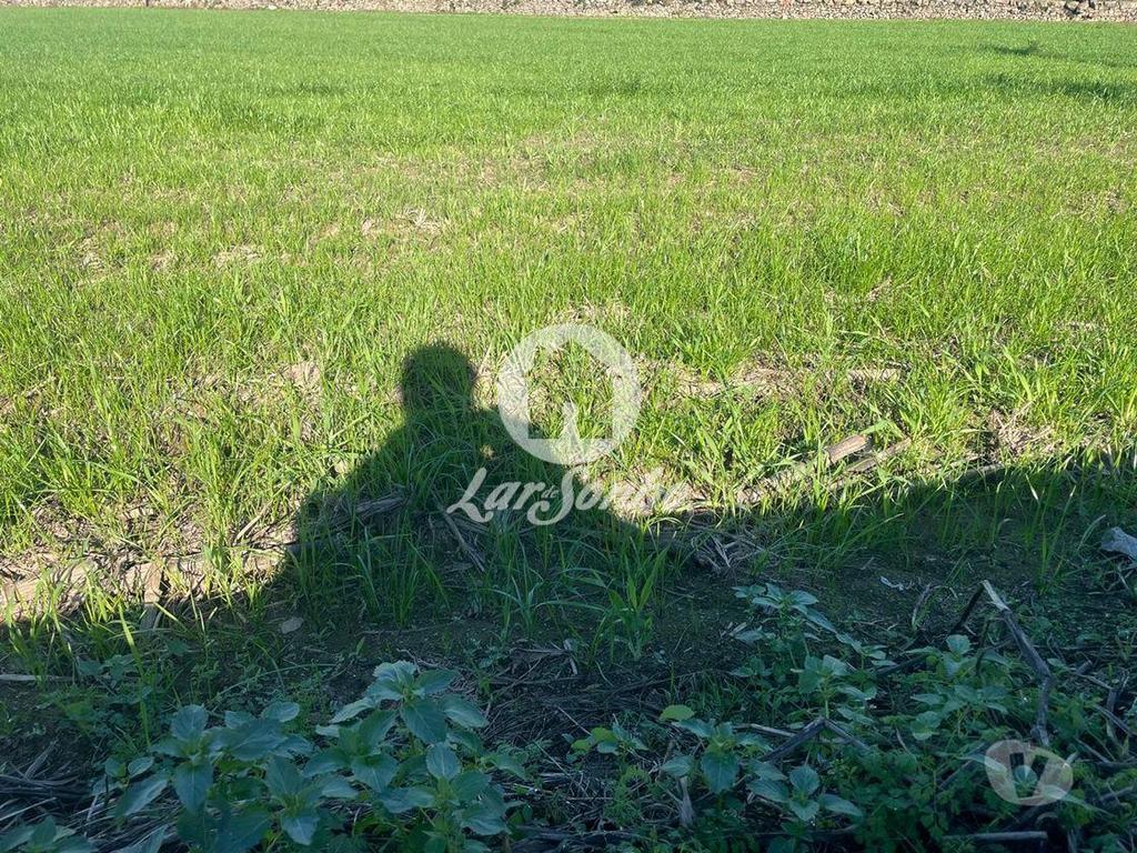 Terrenos Vila do Conde - Fotos para Loteamento para 2 Moradias com 1.230m2 em Rio Mau, Vila do Conde