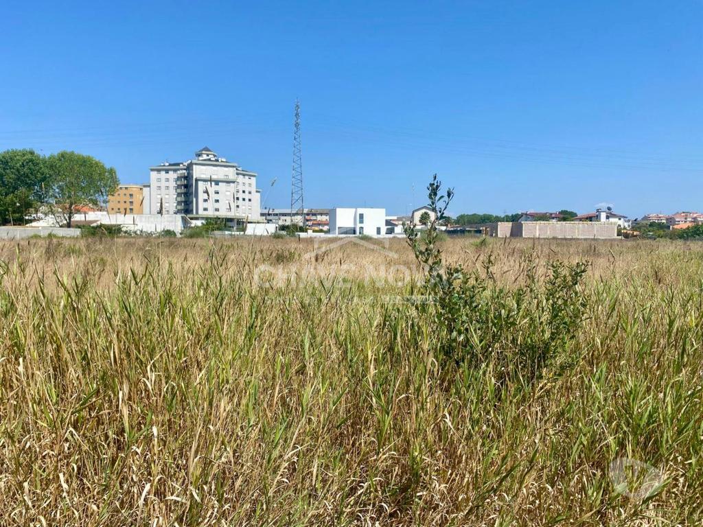 Terrenos Ovar - Fotos para Terreno à Venda em Esmoriz de 1600m2 Perto da Avenida da Praia