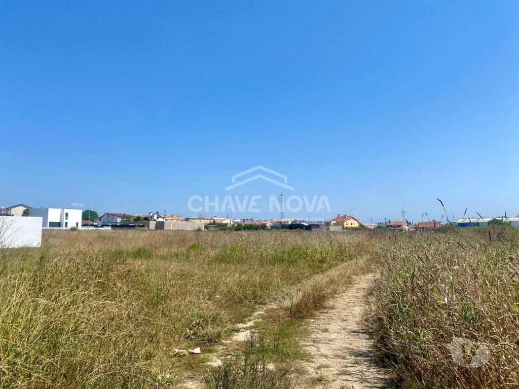 Terrenos Ovar - Fotos para Terreno à Venda em Esmoriz de 1600m2 Perto da Avenida da Praia
