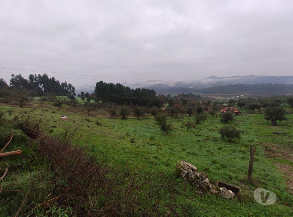 Terrenos Ourém - Fotos para Terreno em local calmo e com vistas fantásticas (1-T-000005)