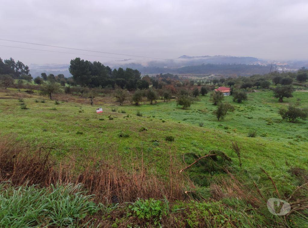 Terrenos Ourém - Fotos para Terreno em local calmo e com vistas fantásticas (1-T-000005)