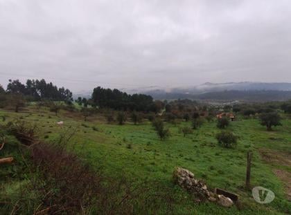 Terrenos - Fotos para Terreno em local calmo e com vistas fantásticas (1-T-000005)