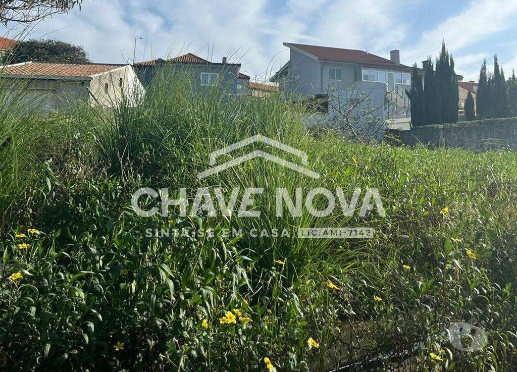 Terrenos Vila Nova de Gaia - Fotos para Terreno c PIP aprovado em Canidelo (PRTOR 00780)