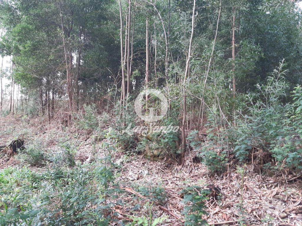 Terrenos Vila do Conde - Fotos para Terreno rustico c 3350m2 em Guilhabreu (240-T-22125)