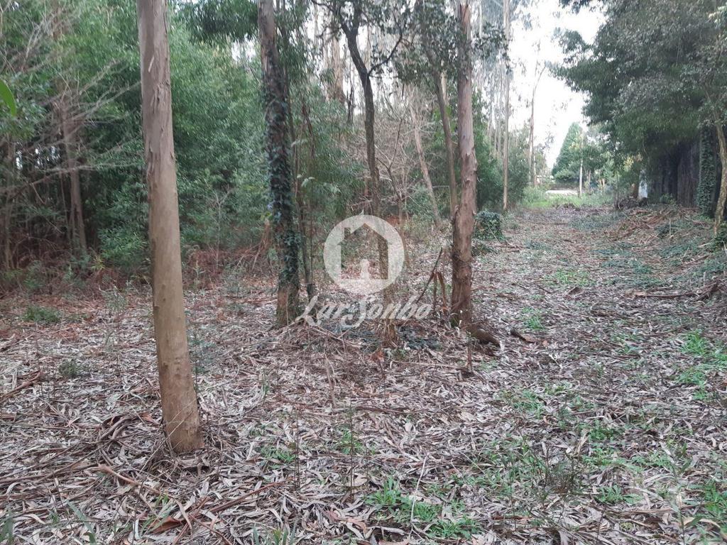 Terrenos Vila do Conde - Fotos para Terreno rustico c 3350m2 em Guilhabreu (240-T-22125)