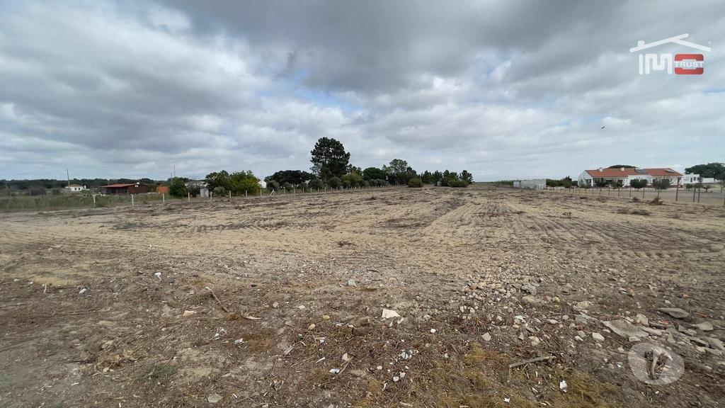 Terrenos Palmela - Fotos para Oportunidade Única: Quintinha de 1 Hectare com Potencial para