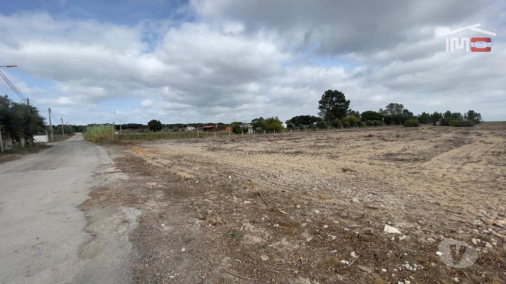 Terrenos Palmela - Fotos para Oportunidade Única: Quintinha de 1 Hectare com Potencial para